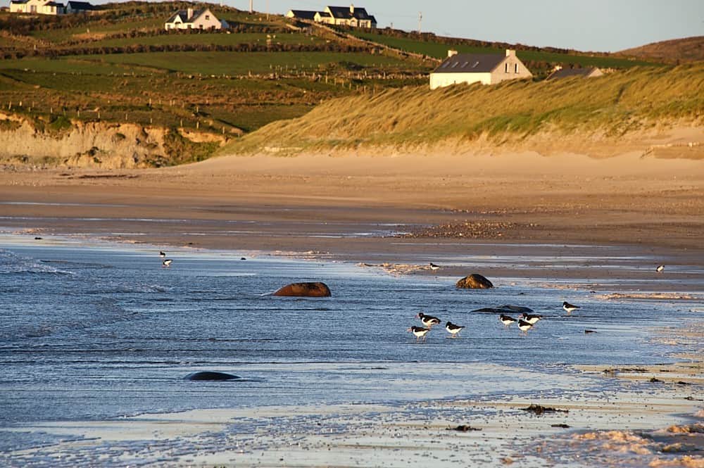 Carrowmore Beach