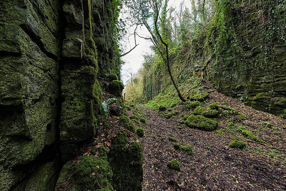 The Fairy Glen