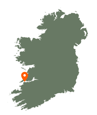 Shannon Estuary Karte
