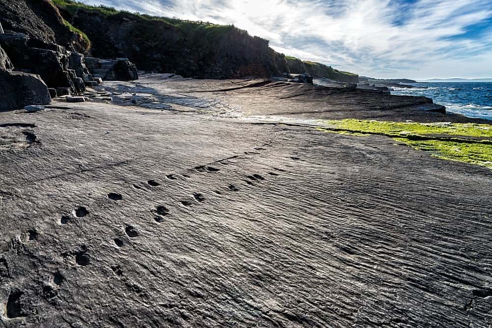 Valentia Island Tetrapod Footprints